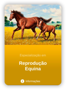 cursos equi rep glow